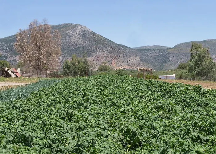 Ta Ambelakia Appartement *